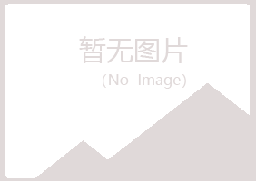 白银平川一生化学有限公司